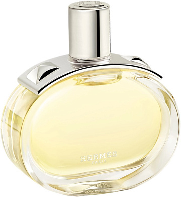 Hermes Barenia