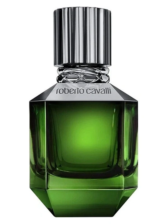 Roberto Cavalli — Roberto Cavalli Paradise Found For Men