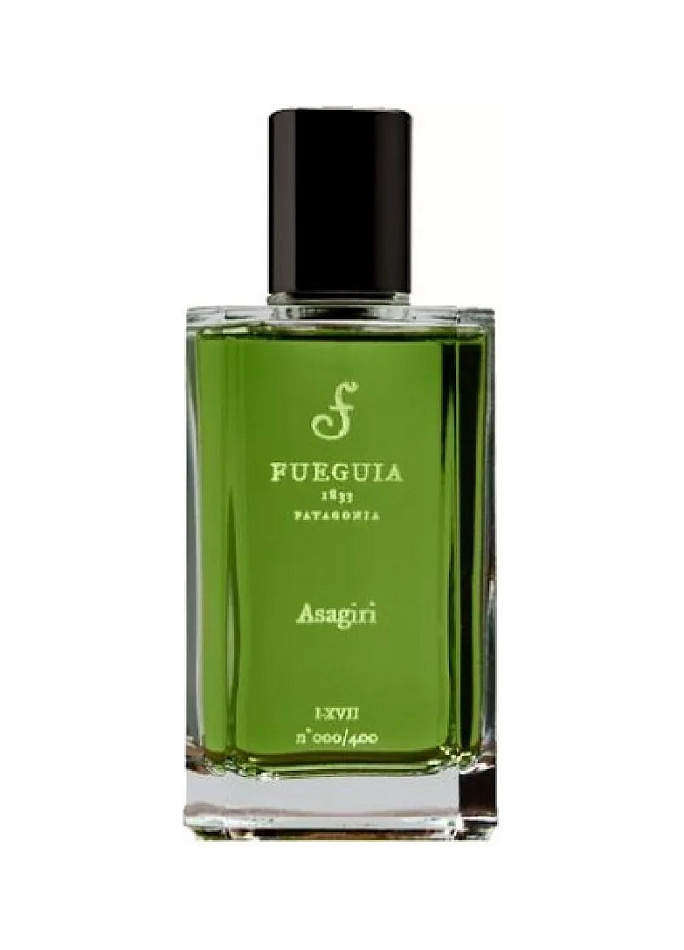 Fueguia 1833 — Fueguia 1833 Asagiri