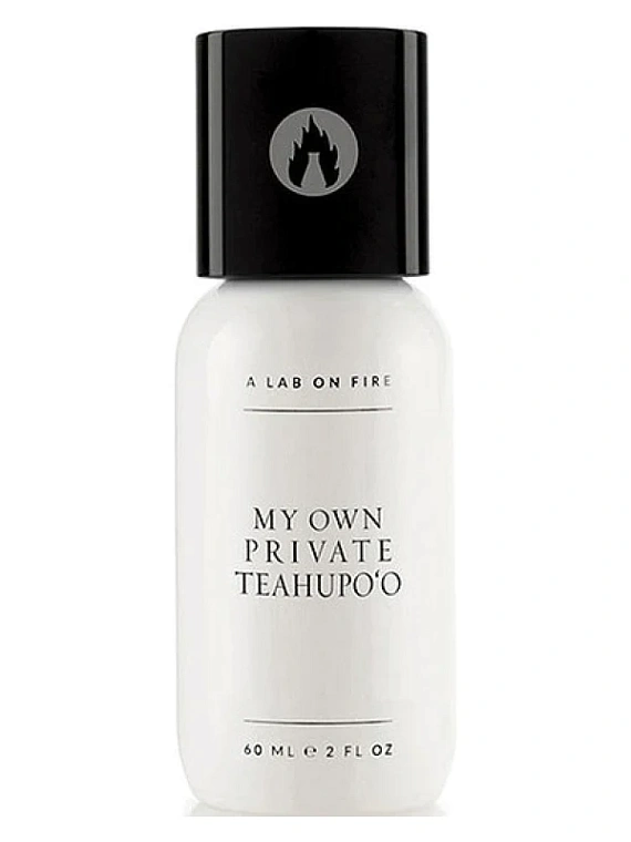 A Lab On Fire — A Lab On Fire My Own Private Teahupo'o