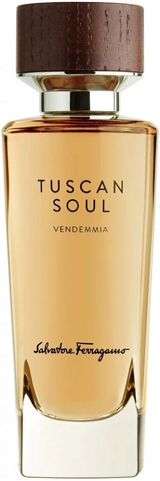 Salvatore Ferragamo Tuscan Soul Vendemmia — фото 3