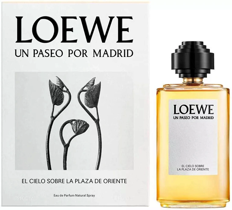 Loewe El Cielo Sobre La Plaza De Oriente — фото 4