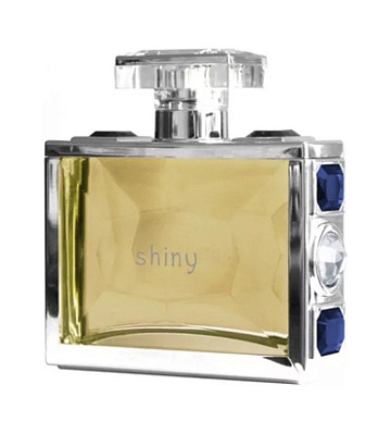 Giorgio Monti Shiny Men