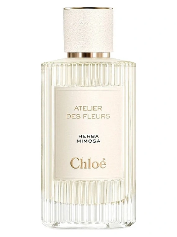 Chloe — Chloe Herba Mimosa