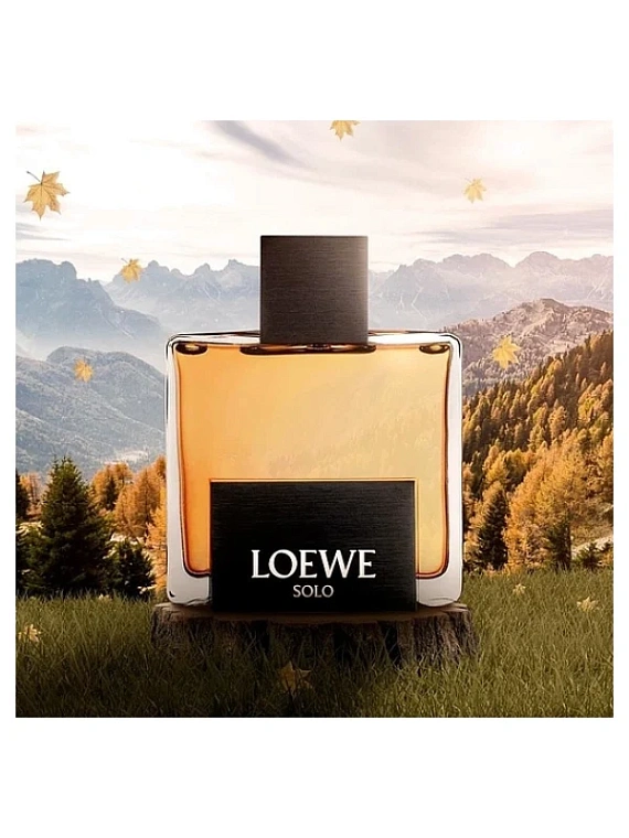 Loewe — Loewe Solo