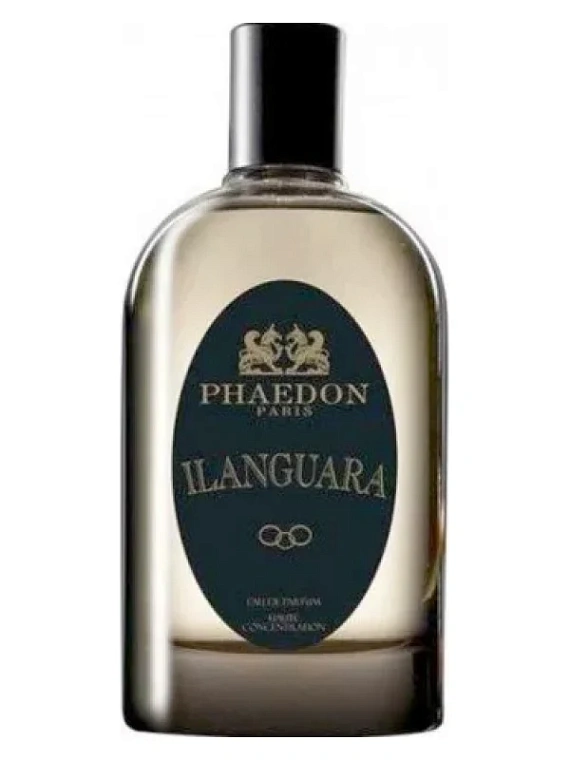 Phaedon — Phaedon Ilanguara