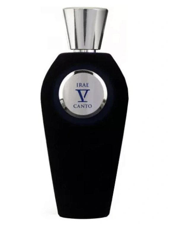 V Canto — V Canto Irae