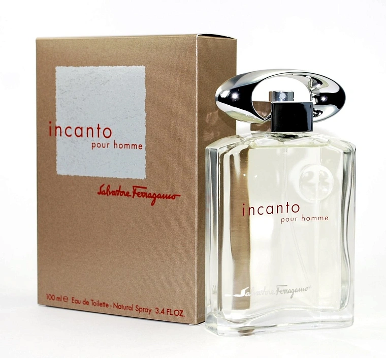 Salvatore Ferragamo Incanto Pour Homme — фото 4