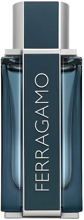 Salvatore Ferragamo — Salvatore Ferragamo Sublime Leather