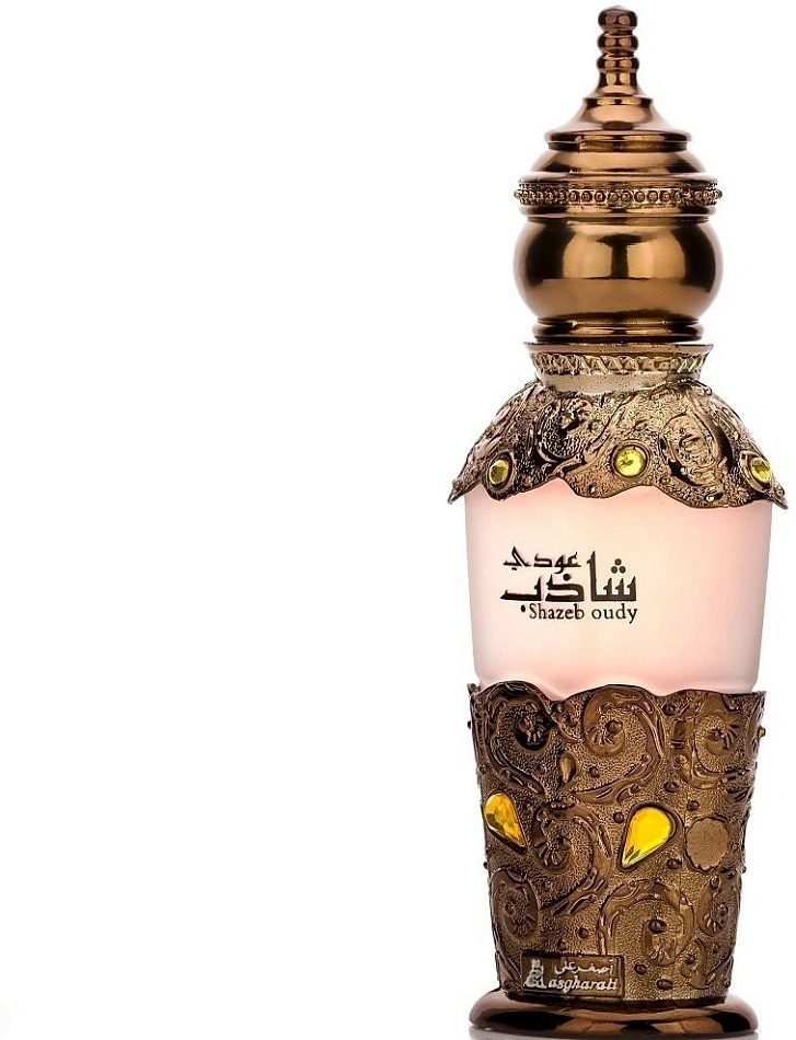 Asgharali Shazeb Oudy — фото 2