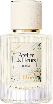 Chloe Cedrus Limited Edition