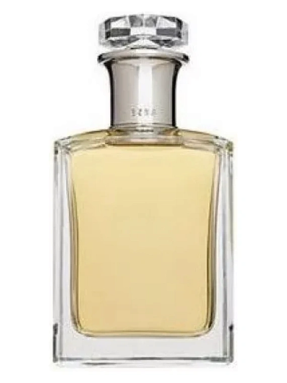 Abercrombie & Fitch — Abercrombie & Fitch Ezra for Woman