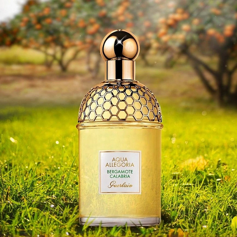 Guerlain Aqua Allegoria Bergamote Calabria — фото 2