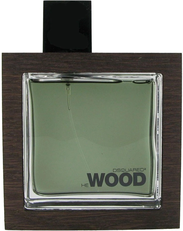 Dsquared2 He Wood Rocky Mountain — фото 3
