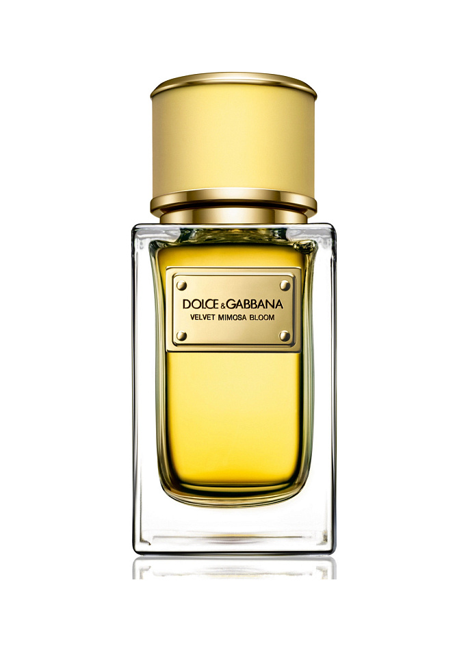 Dolce & Gabbana — Dolce & Gabbana Velvet Mimosa Bloom