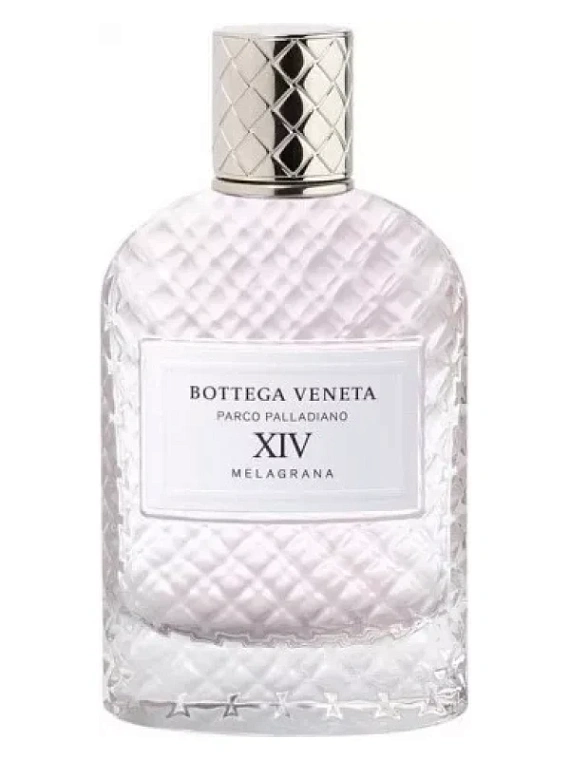 Bottega Veneta — Bottega Veneta Parco Palladiano XIV