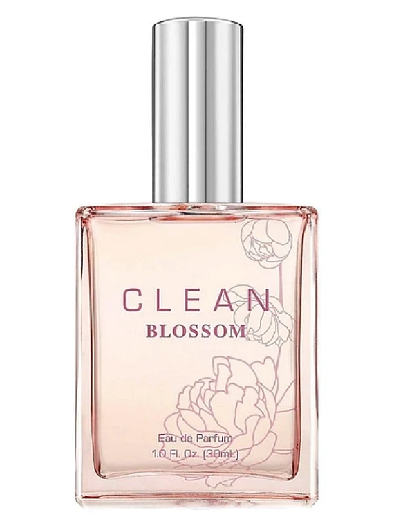 Clean — Clean Clean Blossom