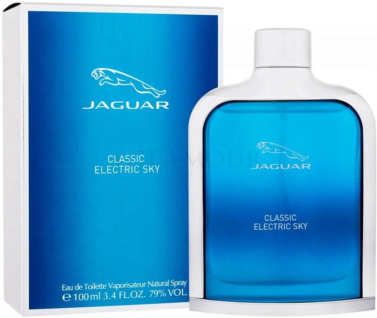 Jaguar Classic Electric Sky — фото 3