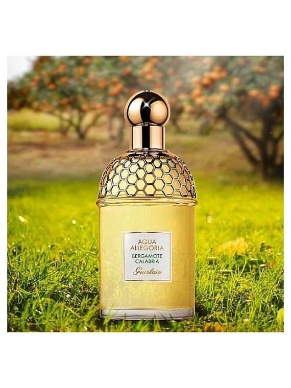 Guerlain — Guerlain Aqua Allegoria Bergamote Calabria