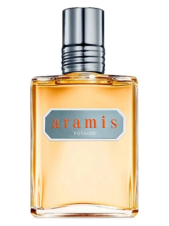 Aramis — Aramis Voyager