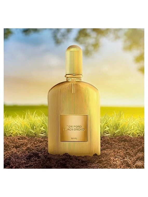 Tom Ford — Tom Ford Black Orchid Parfum