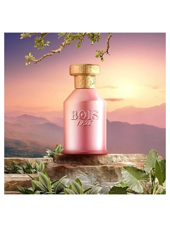 Bois 1920 — Bois 1920 Notturno Fiorentino
