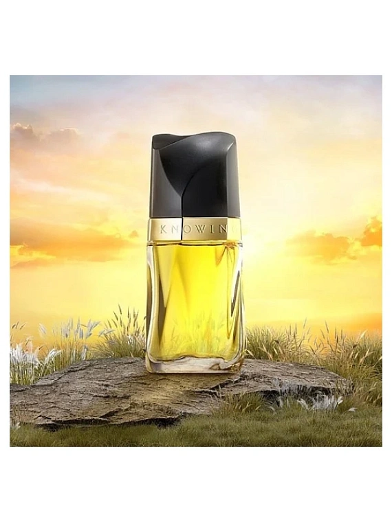 Estee Lauder — Estee Lauder Knowing