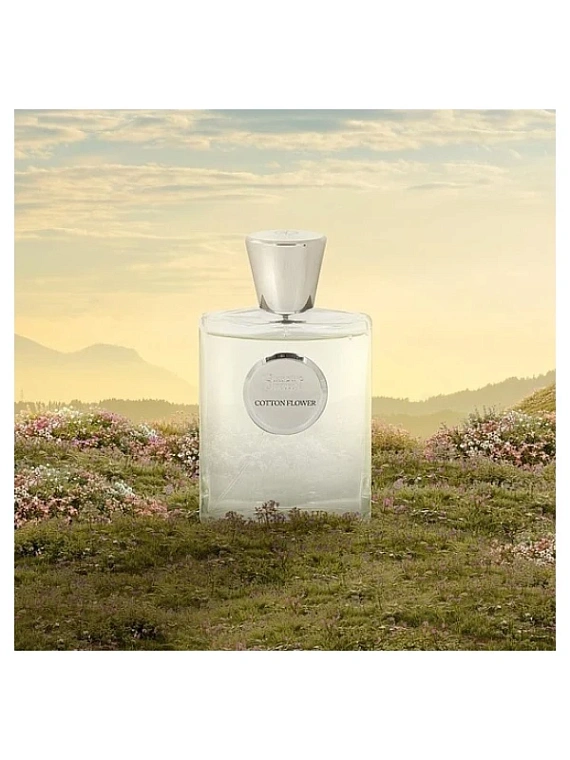 Giardino Benessere — Giardino Benessere Cotton Flower
