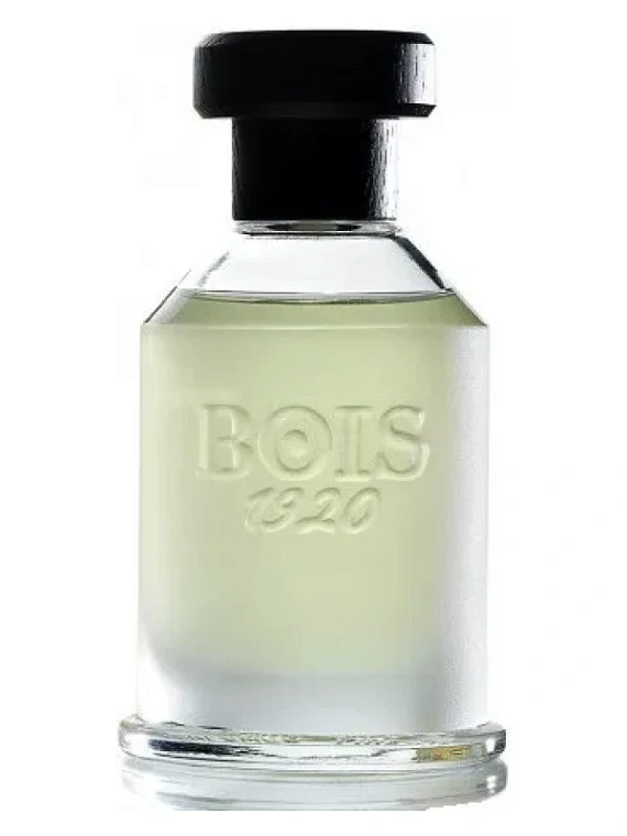 Bois 1920 — Bois 1920 Youth Magia